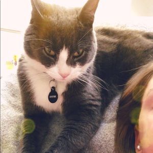 Meet your Posher, Lex